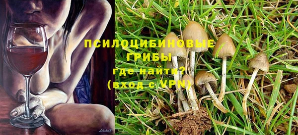 дживик Вязники