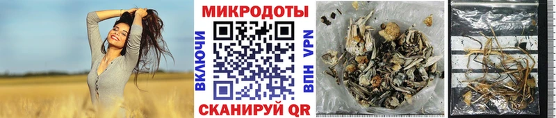 Купить закладки  Троицк  Галлюциногенные грибы прущие грибы 